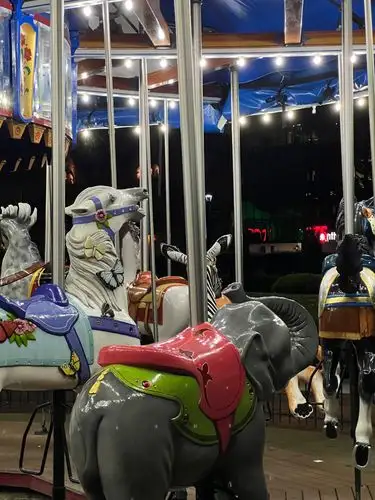 Spinning into the magic of the night.